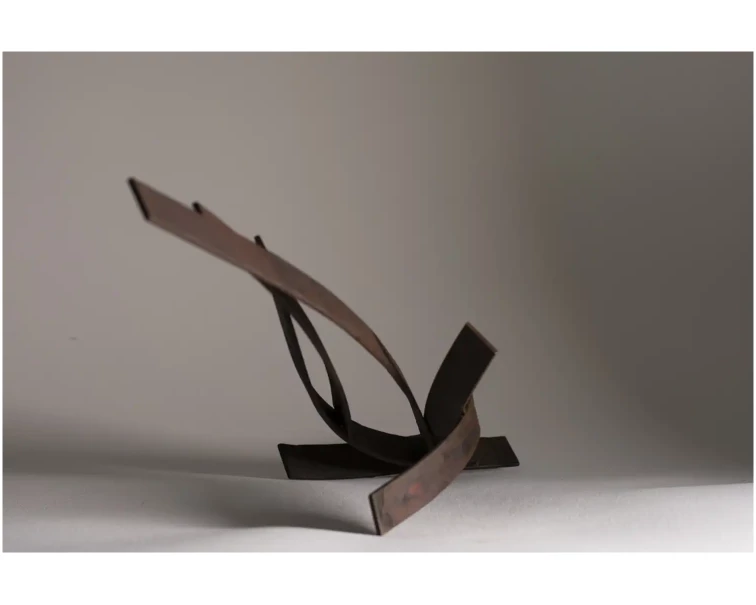 liviana iron abstract sculpture by artist pablo lara
