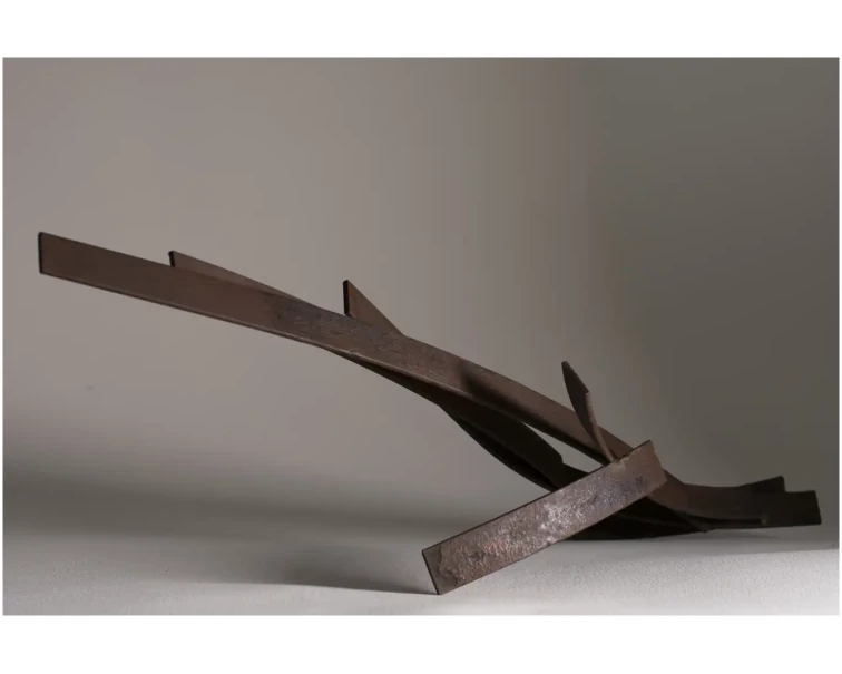 liviana iron abstract sculpture by artist pablo lara