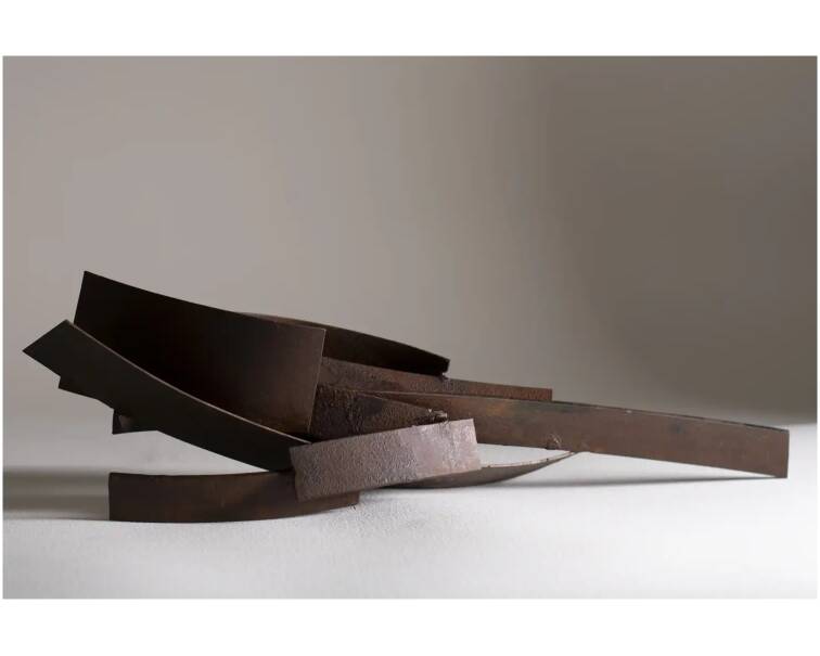 pajarona iron abstract sculpture by artist pablo lara