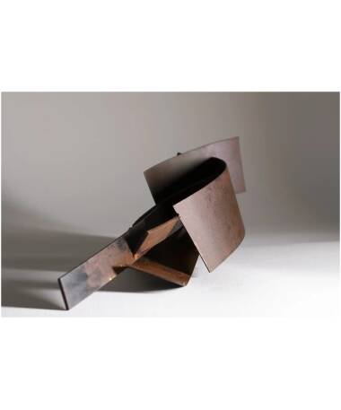 pajarona iron abstract sculpture by artist pablo lara