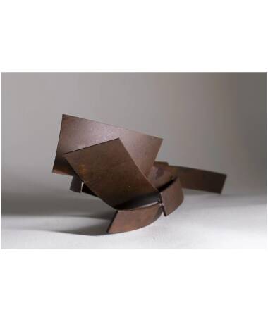 pajarona iron abstract sculpture by artist pablo lara