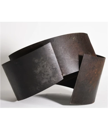 tao iron abstract sculpture by artist pablo lara