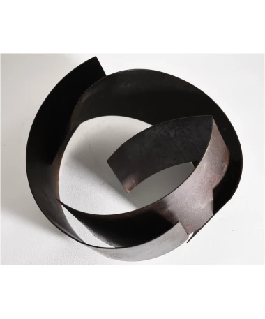 tao iron abstract sculpture by artist pablo lara
