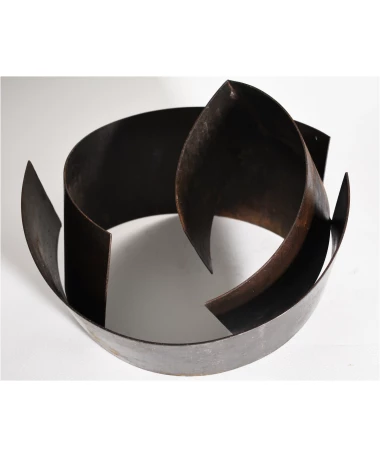 tao iron abstract sculpture by artist pablo lara