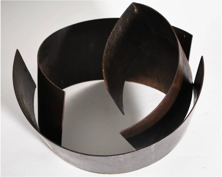 tao iron abstract sculpture by artist pablo lara